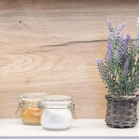 Apartment Lavender Time Studio With A Garden View Balcony Brünn
